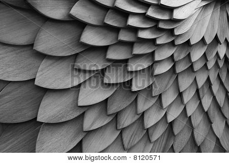 Setri vyöruusu b&w