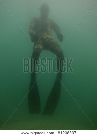Diver With Long Flowing