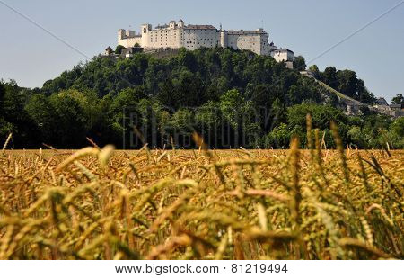 General view of castle in Salzburg, Hohensalzburg, Austria