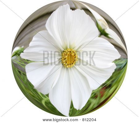 Ronde de fleurs