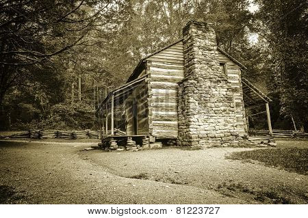 Pioneer Cabin