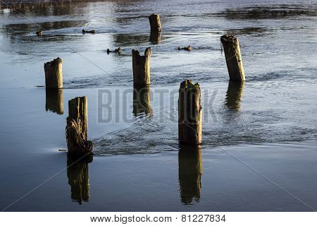 Tranquil River Flow