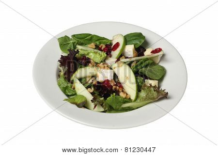 Fresh Green Salad