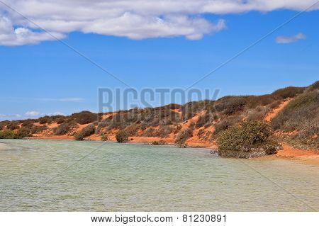 Denham, Western Australia