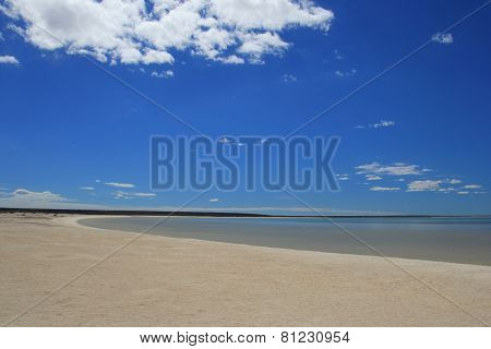Shell beach, Western Australia
