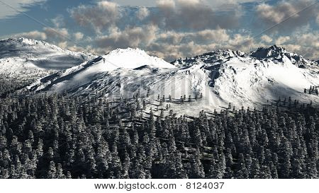 Snowy Baum bedeckt Berglandschaft