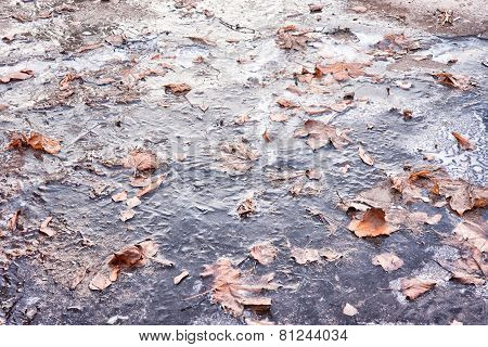 Fall And Winter