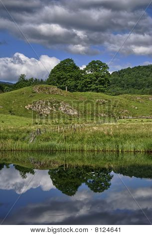 Baum Reflexionen in den Fluss brathay