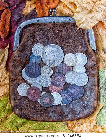 Purse With Coins