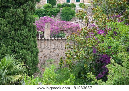 Deia garden in greens and pink and purple bougainvillea flowers