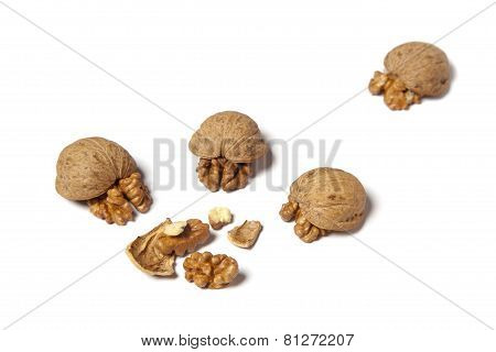 walnuts like a turtle