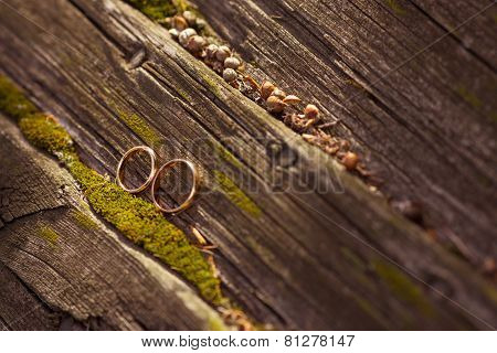 Wedding rings.