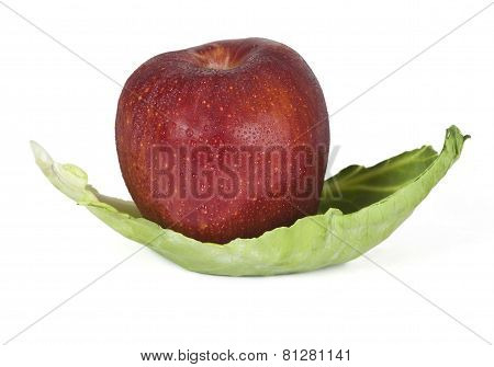 Apple Fruit