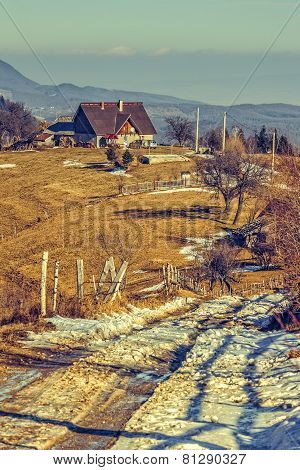 Romanian Rural Scene