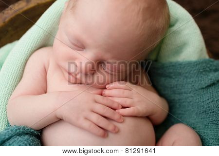 Sleeping Newborn In A Bowl