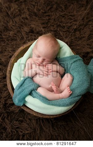 Sleeping Newborn In A Bowl