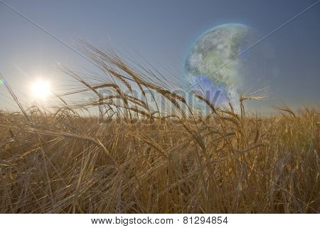 Terraformed Luna seen from field on earth