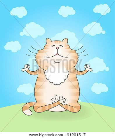 Cat Practicing Yoga