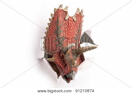 Dinosaur