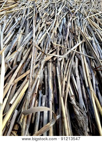 Straw