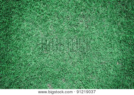 Greensward Field Background