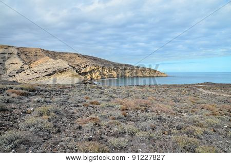 Volcanic Rock Basaltic Formation in Gran Canaria
