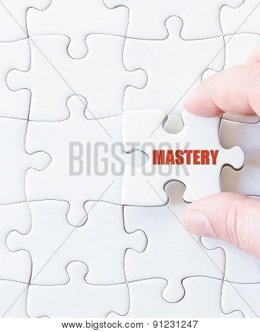 Last Puzzle Piece With Word Mastery