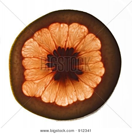 Grapefrugt skive