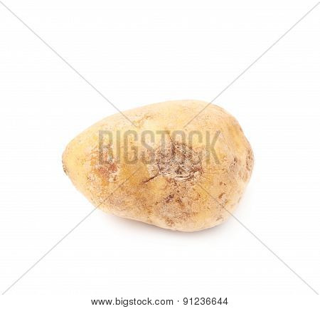 Spoiled brown potato isolated