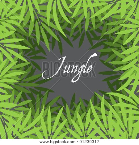 Jungle Background