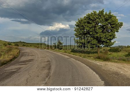Road in Pirin area mountain