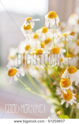 Bouquet Of Camomiles At Sunlight With Greeting Good Morning. Cozy Summer Morning At Home.