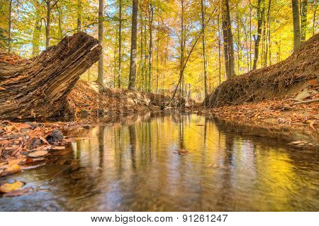 Lake Accotink Park