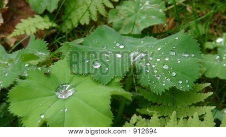 Dsc00150