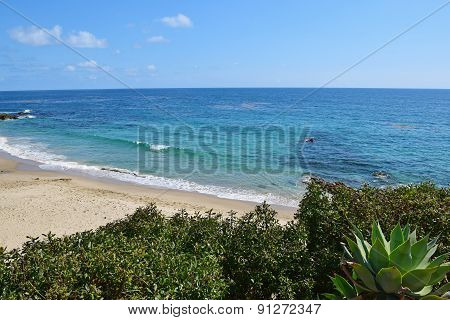 Diver's Cove, Laguna Beach, Southern California