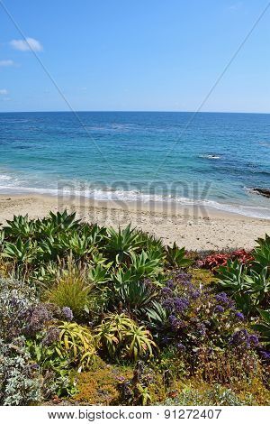 Diver's Cove, Laguna Beach, Southern California