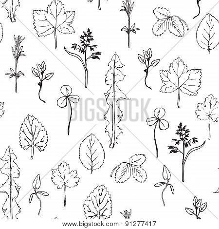 Seamless pattern with herbs and leaves
