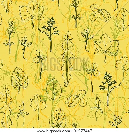 Seamless pattern with herbs and leaves