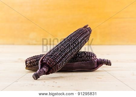 Fresh Purple Organic Corn, Maize .