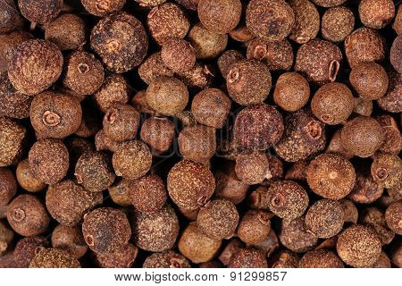 Allspice Close Up