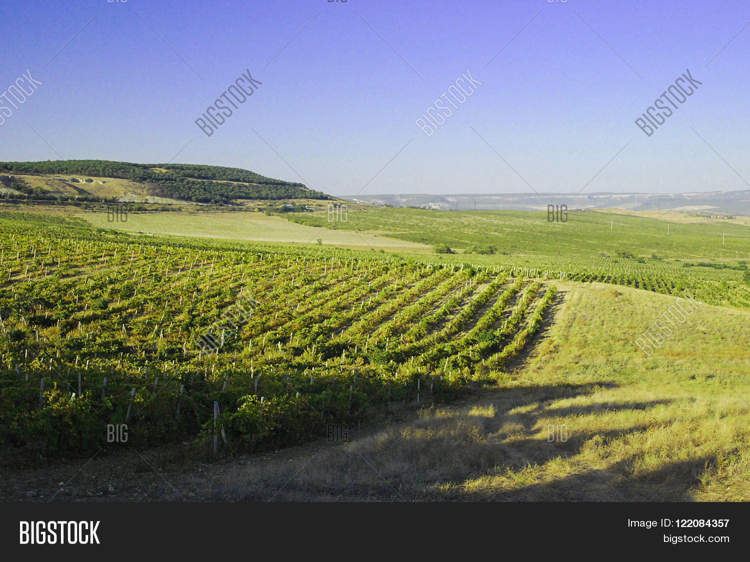 Image Preview