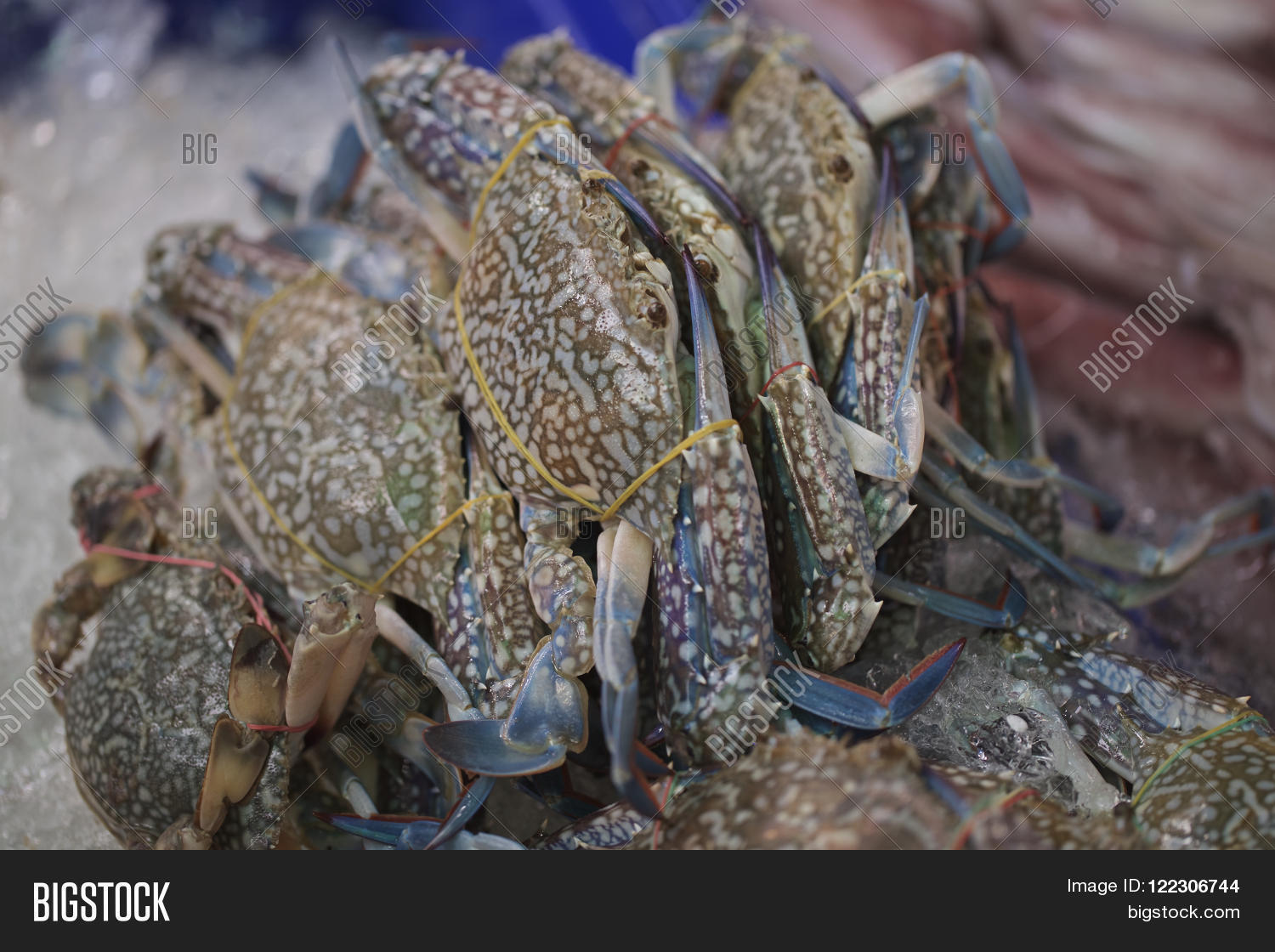 Image Preview