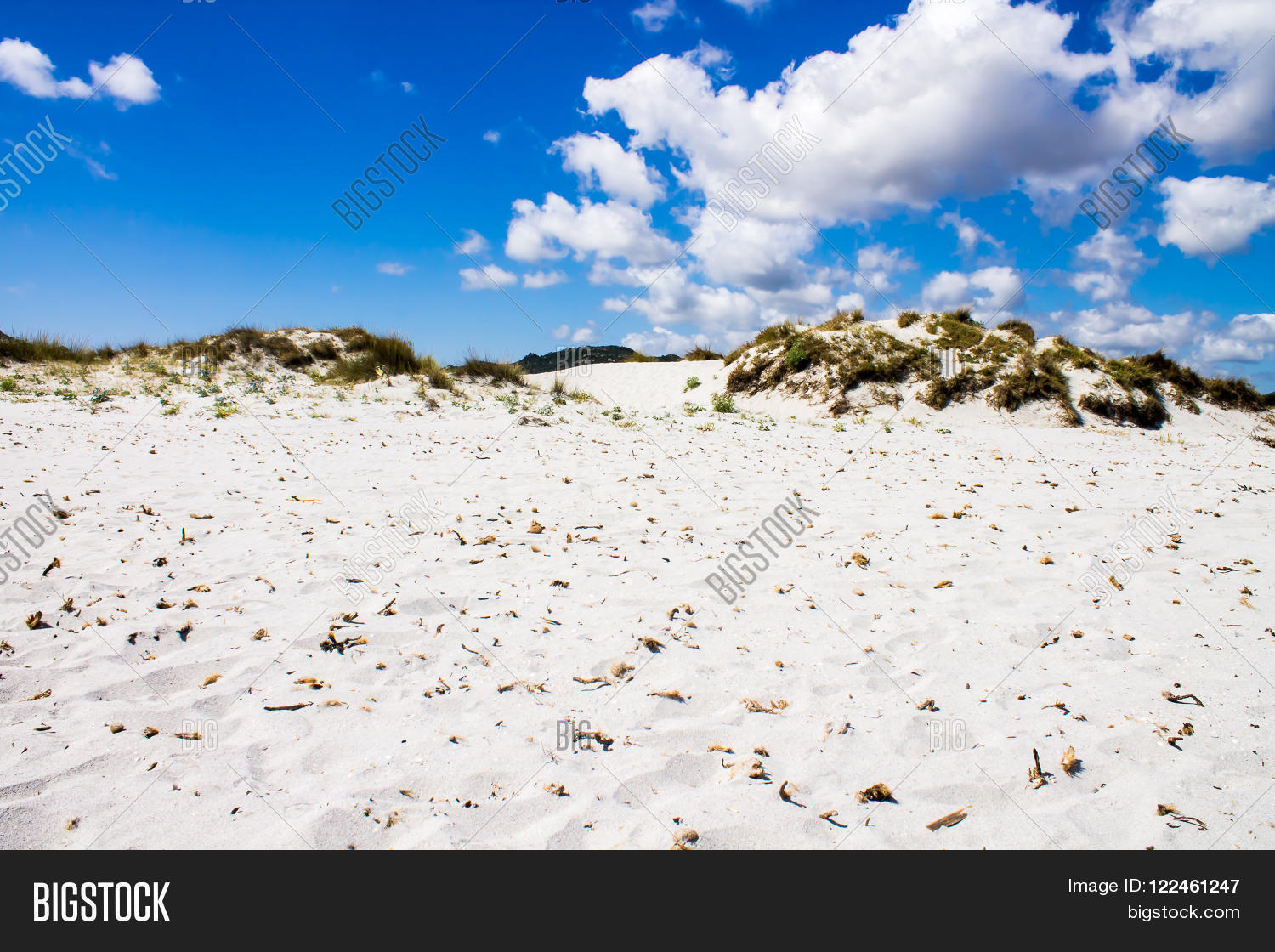 Image Preview