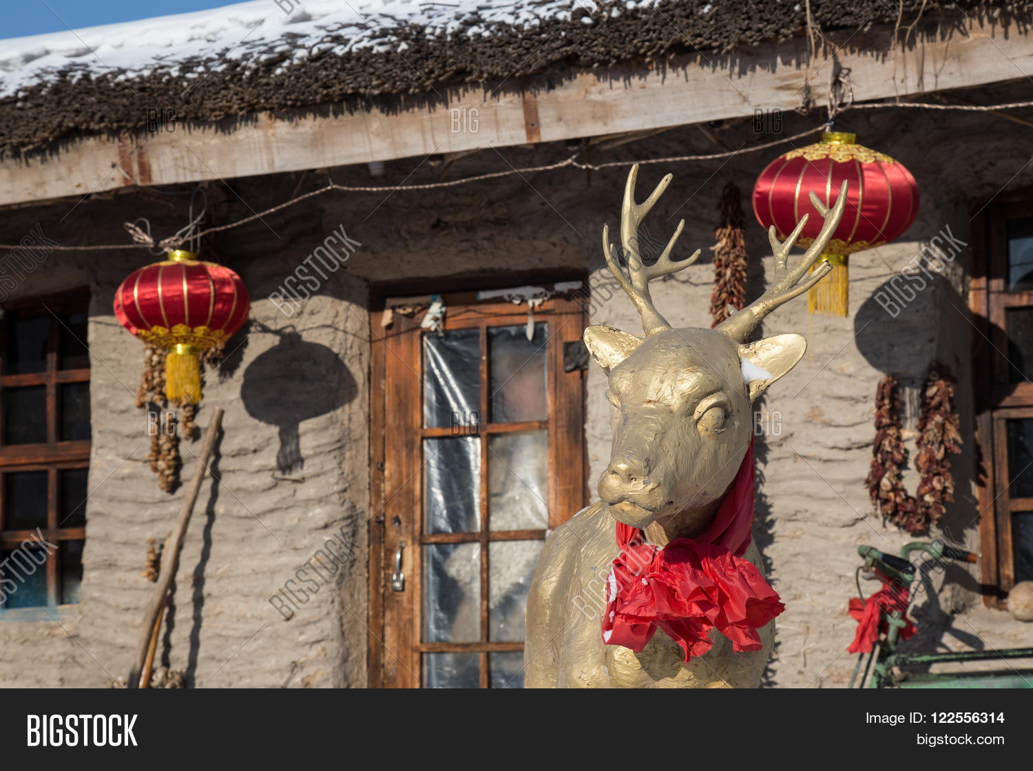 Image Preview