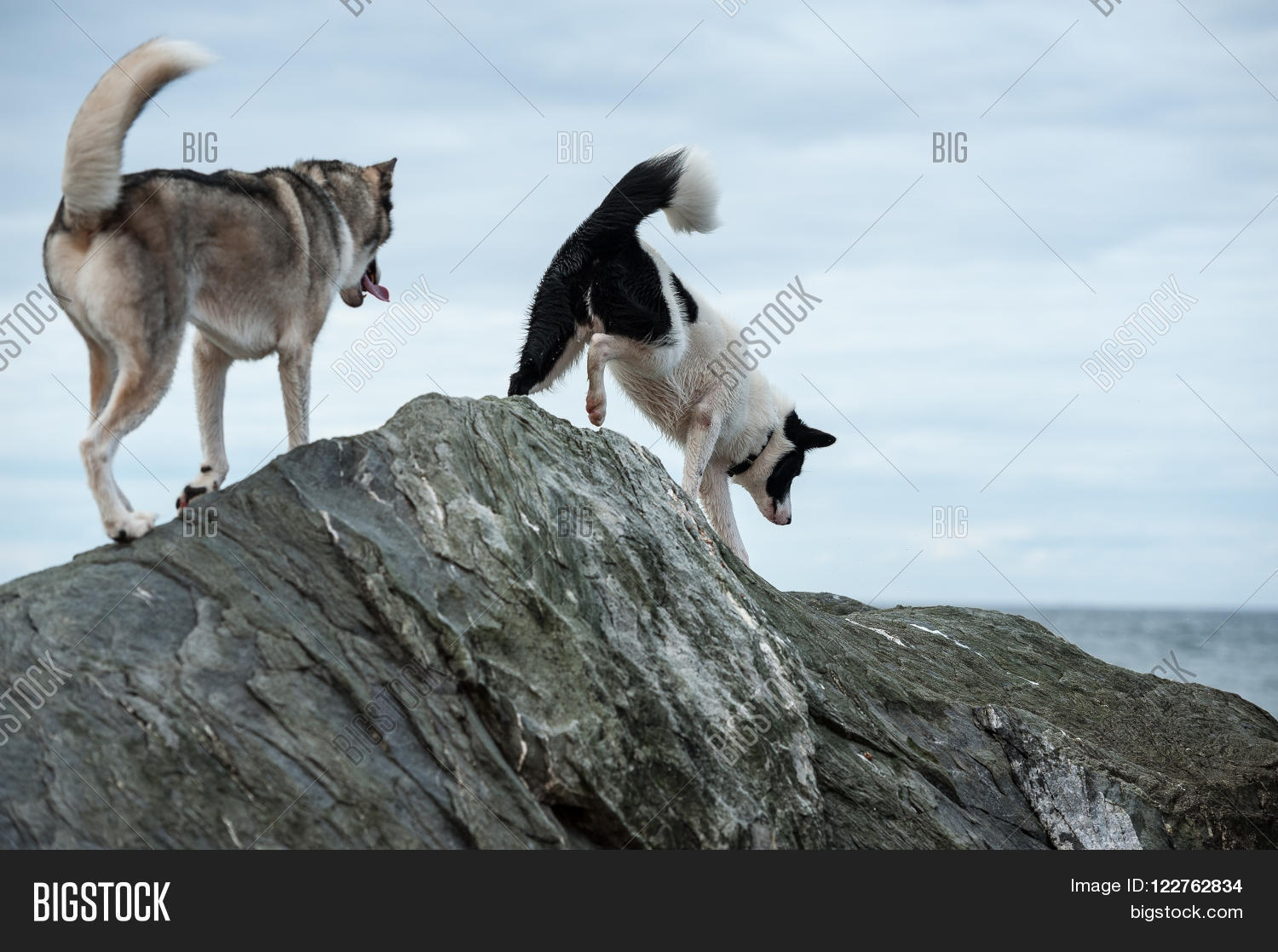 Image Preview
