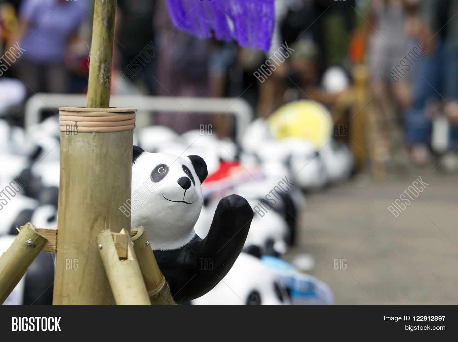 Image Preview