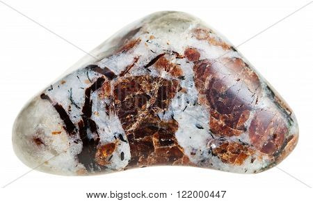 Polished Eudialyte Mineral Gem Stone In Rock