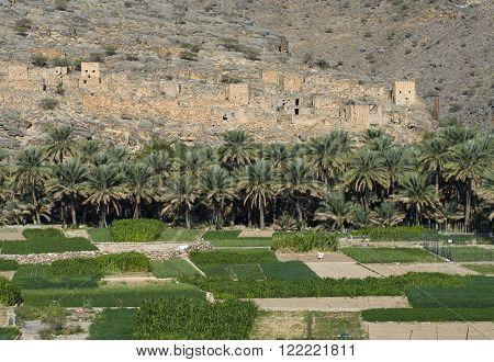 Wadi Ghul - canyon in sultanate Oman, village