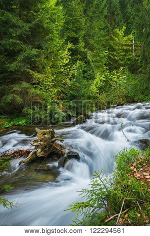 Carpathian Mountains. The mountain river near the waterfall Shipot