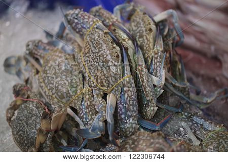 Fresh horse crab on display for sale in the lacal market in Thailand
